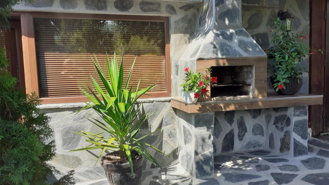 Guesthouse Dida Сапарева Баня Екстер'єр фото