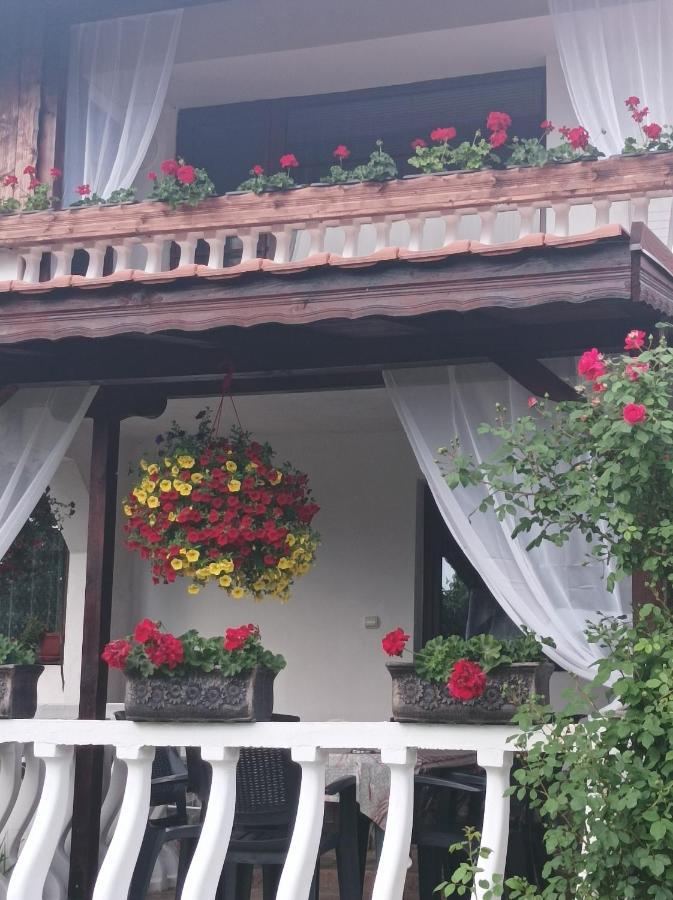 Guesthouse Dida Сапарева Баня Екстер'єр фото