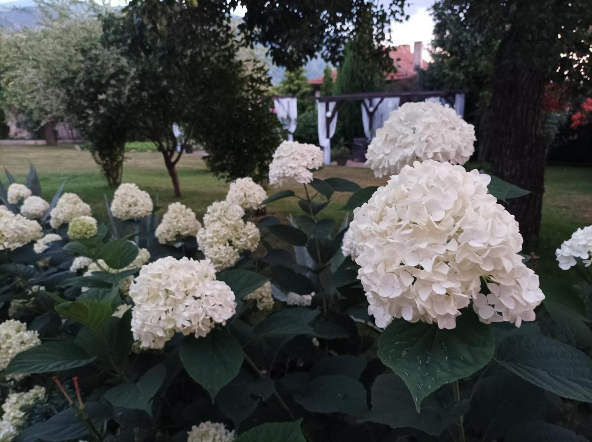 Guesthouse Dida Сапарева Баня Екстер'єр фото