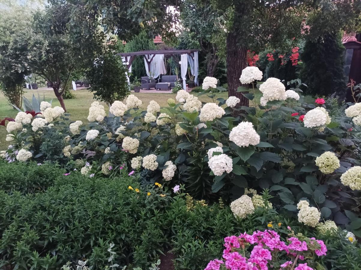 Guesthouse Dida Сапарева Баня Екстер'єр фото
